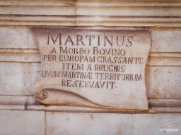 20240124  (LR Vito Manzari DJI_0451)